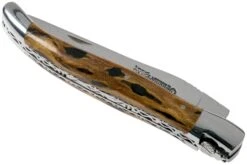 Laguiole En Aubrac 12cm Double Plates, Cactus Poncé Main, L0712CA51-FSI1 -Vic Boutique AUL0712CA51 FSI1 04 laguiole en aubrac v202010