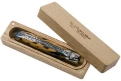 Laguiole En Aubrac 12cm Double Plates, Cactus Poncé Main, L0712CA51-FSI1 -Vic Boutique AUL0712CA51 FSI1 08 laguiole en aubrac v202010