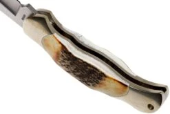 Böker Junior Scout Stag - 111910, Couteau De Poche -Vic Boutique BO111910 05 boker