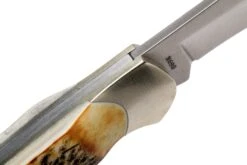 Böker Junior Scout Stag - 111910, Couteau De Poche -Vic Boutique BO111910 06 boker