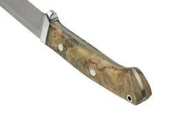 Bark River Classic Drop Point Hunter CPM S45VN Buckeye Burl, Couteau Fixe -Vic Boutique BRK02 176BB 04 barkriver
