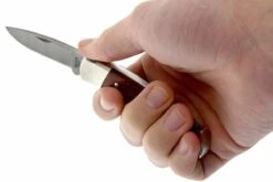 Buck 501 Squire 0501RWS-B, Bois De Rose, Avec étui 13 Buck 501 Squire 0501RWS-B, Bois De Rose, Avec étui -Vic Boutique BUCK0501RWS B 05 buck 501 squire knife buck0501rws b 05