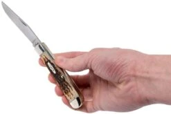 Case Trapper Amber Jigged Bone, 00163, 6254 CV Couteau De Poche -Vic Boutique CE163 09 case ce163 09