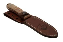 Condor Tactical P.A.S.S. Chute Knife, Couteau Fixe -Vic Boutique CTK1827 105 4C 06 condor