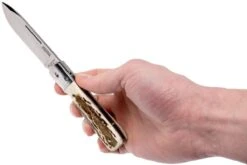 Fallkniven GPs Gentleman's Pocket Knife Stag, Bois De Cerf -Vic Boutique FKGPS 08 fallkniven fkgps 08