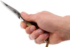 Forge De Laguiole 12110INCABDF, Corne D'Aubrac -Vic Boutique LA12110INCABDF 07 forge de laguiole la12110incabdf 07