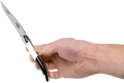 Forge De Laguiole Airbus A350 1211 INAIRBUS Couteau Laguiole -Vic Boutique LA1211INAIRBUS 07 forge de laguiole