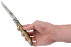 Forge De Laguiole 12 Cm 1212INBESAT Corne De Bélier, Couteau Laguiole -Vic Boutique LA1212INBESAT 08 forge de laguiole