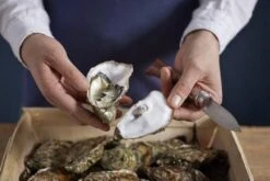 Couteau à Huîtres Opinel N°09 15 Couteau à Huîtres Opinel N°09 -Vic Boutique OP001616 07 opinel oestermes op001616 08