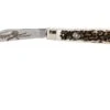 Robert Klaas US Trapper 95mm Real Stag 412-1-251-TRS Couteau De Poche -Vic Boutique RS412 1 251 TRS 01 robert klaas rs412 1 251 trs 01