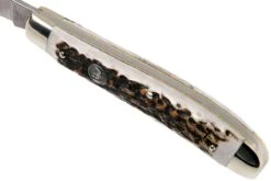 Robert Klaas US Trapper 95mm Real Stag 412-1-251-TRS Couteau De Poche -Vic Boutique RS412 1 251 TRS 06 robert klaas rs412 1 251 trs 06