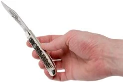 Robert Klaas US Trapper 95mm Real Stag 412-1-251-TRS Couteau De Poche -Vic Boutique RS412 1 251 TRS 07 robert klaas rs412 1 251 trs 07