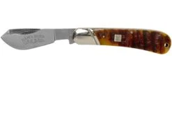 Rough Ryder Ram’s Horn Bone Cotton Sampler RR1594 Couteau De Poche