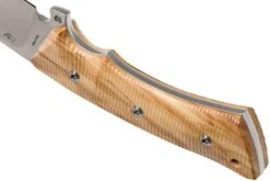 Viper Gianghi V4880UL Olive, Couteau De Chasse 13 Viper Gianghi V4880UL Olive, Couteau De Chasse -Vic Boutique VPV4880UL 04 viper