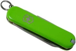 Victorinox Classic SD Colors, Smashed Avocado 0.6223.43G Couteau Suisse -Vic Boutique VT0 6223 43G 04 victorinox