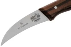 Victorinox Wood 5.3100 Couteau Bec D'oiseau, 6 Cm 9 Victorinox Wood 5.3100 Couteau Bec D'oiseau, 6 Cm -Vic Boutique VT5 3100 03 victorinox