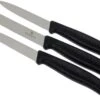 Victorinox SwissClassic Couteaux à Légumes Noir, Set De 3, 6.7113.3 1 Victorinox SwissClassic Couteaux à Légumes Noir, Set De 3, 6.7113.3 -Vic Boutique VT6 7113 3 01 victorinox groentemesset vt6 7113 3 01