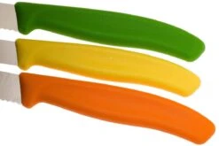 Victorinox SwissClassic Couteaux à Légumes, Ensemble De 3, 6.7116.31G 11 Victorinox SwissClassic Couteaux à Légumes, Ensemble De 3, 6.7116.31G -Vic Boutique VT6 7116 31G 04 victorinox vt6 7116 31g 04