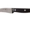 Zwiling Twin Chef Couteau Bec D'oiseau 7 Cm, 34910-061 -Vic Boutique ZW34910 061 01 zwilling twin chef zw34910 061 01